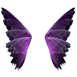 butterfly icon